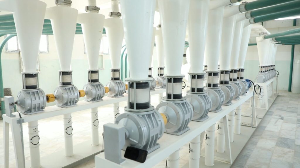 all.00 00 41 25.still001 1536x864